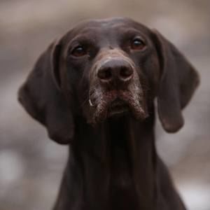 Meet your Posher, Patty